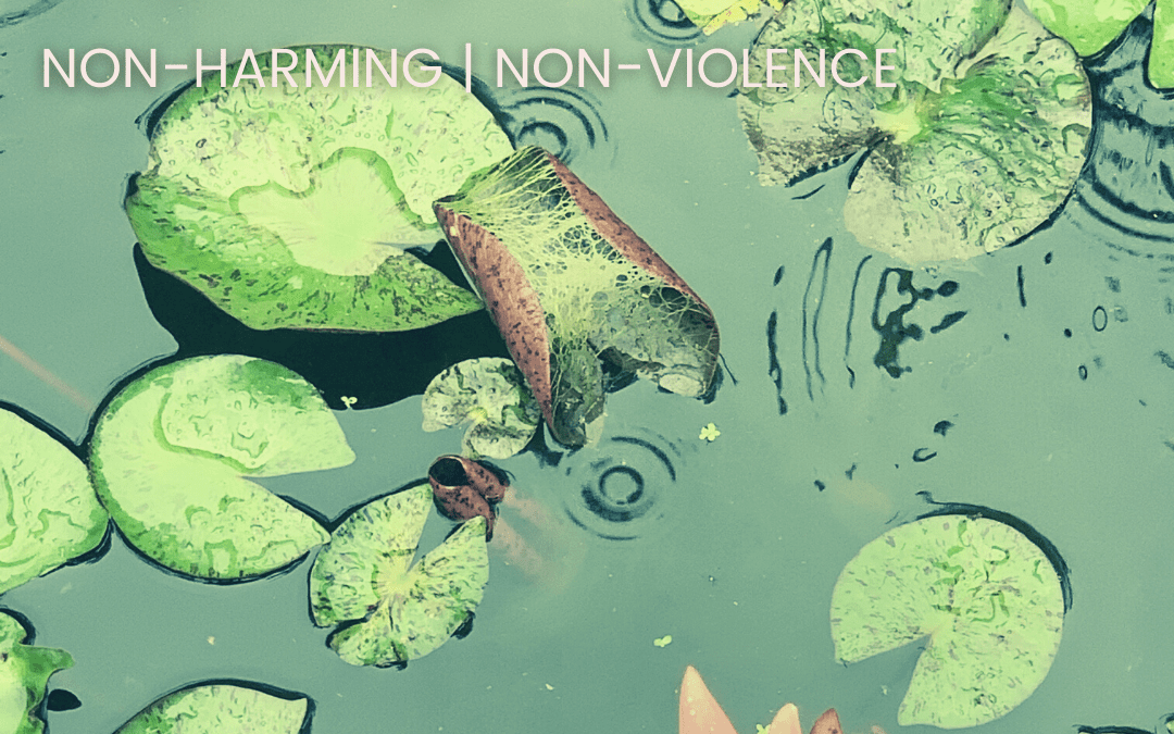 This week, we begin with the practice of non-violence, or ahimsa